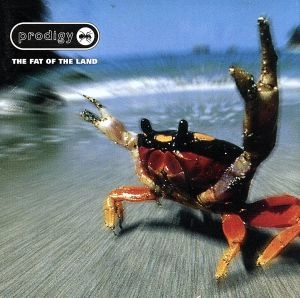 PRODIGY / プロディジー / ザ・ファット・オブ・ザ・ランド / THE FAT OF THE LAND