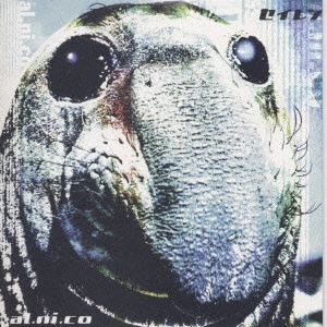 al.ni.co / セイレン