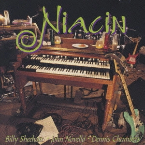NIACIN / ナイアシン / ナイアシン / NIACIN