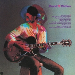 DAVID T. WALKER / デイヴィッド・T.ウォーカー / デヴィッド･T･ウォーカー（紙ジャケット） / DAVID T.WALKER