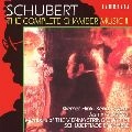 WERNER HINK / ウェルナー・ヒンク / シューベルト室内楽曲全集２