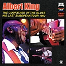 ALBERT KING / アルバート・キング / アイル・プレイ・ザ・ブルース・フォー・ユ