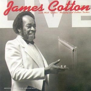 JAMES COTTON / ジェイムズ・コットン / Ｌｉｖｅ　Ａｔ　Ａｎｔｏｎｅ’ｓ　Ｎｉｇ
