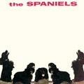 SPANIELS / スパニエルズ / スパニエルズ（紙ジャケ）