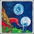 CALEXICO AND IRON & WINE / キャレキシコ・アンド・アイアン&ワイン / イン・ザ・レインズ