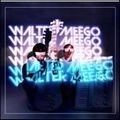 WALTER MEEGO / ウォルター・ミーゴ / ボイジャー