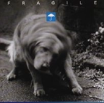 FRAGILE / フラジャイル / ノー･ウェット