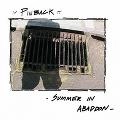 PINBACK / ピンバック / サマー・イン・アバドン