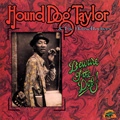 HOUND DOG TAYLOR / ハウンド・ドッグ・テイラー / ビウェアー･オブ･ザ･ドッグ～ライヴ（紙