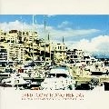 ZARD / ザード / ＴＯＤＡＹ　ＩＳ　ＡＮＯＴＨＥＲ　ＤＡＹ