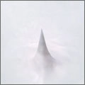 APNEA / アプネア / ANOTHER NIGHTS,ANOTHER SIGHTS