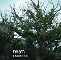 naan / ナーン / 善悪無記の形相