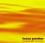 texas pandaa / テキサスパンダ / ONE GLEAM AFTER THE SHADOW