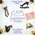 SUBURBAN STUDS / サバーバンスタッズ / COMPLETE PUNK COLLECTION