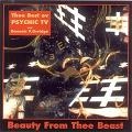 PSYCHIC TV / サイキック・ティーヴィー / BEAUTY FROM THEE BEAST:THEE BEST OF PSYCHI