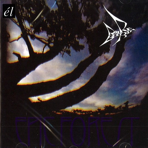 RARE BIRD / レア・バード / EPIC FOREST