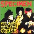 SPECIMEN / スペシメン / WE WARM CLING FILM RED VELVET CRUSH