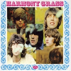 HARMONY GRASS / ハーモニー・グラス / THIS IS US