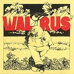 WALRUS / ウォルラス / WALRUS