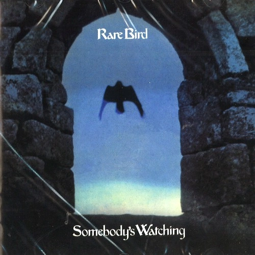 RARE BIRD / レア・バード / SOMEBODY'S WATCHING
