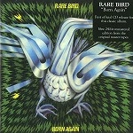 RARE BIRD / レア・バード / BORN AGAIN