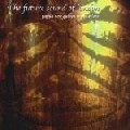 FUTURE SOUND OF LONDON / フューチャー・サウンド・オブ・ロンドン / PAPUA NEW GUINEA TRANSLATIONS