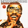V.A. (WONDER OF STEVIE - DJ SPINNA) / WONDER OF STEVIE