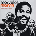 V.A.(MARVEL OF MARVIN) / MARVEL OF MARVIN