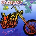 V.A.(SPIRITLAND) / SPIRITLAND - THE FUNK & SOUL OF BLUE EYED