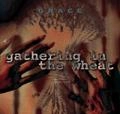 GRACE(UK) / グレイス / GATHERING IN THE WHEAT