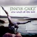 FINNEUS GAUGE / フィネアス・ゲイジ / ONE INCH OF THE FALL