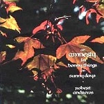 ROBERT ANDREWS / AN AMNESTY FOR BONNY THINGS ON SUNNY DAYS