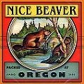 NICE BEAVER / ナイス・ビーヴァー / OREGON