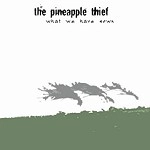 THE PINEAPPLE THIEF / パイナップル・シーフ / WHAT WE HAVE SOWN