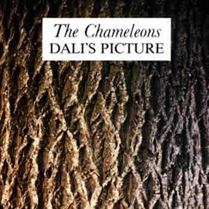 CHAMELEONS / カメレオンズ / DALI'S PICTURE