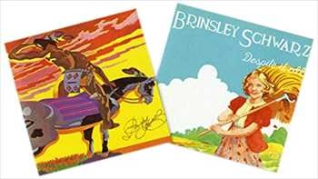 BRINSLEY SCHWARZ / ブリンズリー・シュウォーツ / BRINSLEY SCHWARZ/DESPITE IT ALL