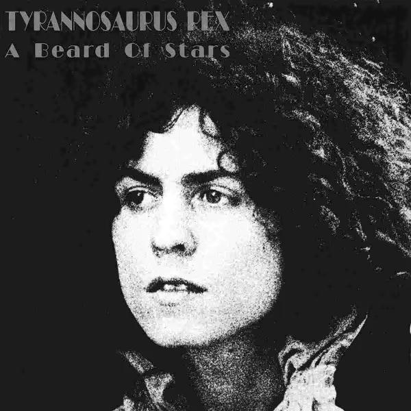 T. REX / T・レックス / A BEARD OF STARS