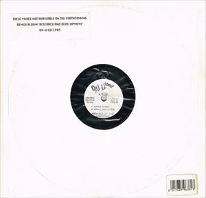 DUB SYNDICATE / ダブ・シンジケート / JUNGLE / 2003 STRUGGLE