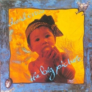 DAVID CROSS / デヴィッド・クロス / THE BIG PICTURE (REISSUE)
