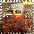 BRUTAL TRUTH / ブルータル・トゥルース / EXTREME CONDITIONS DEMAND EXTREME RESPONSE