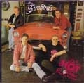FIREBIRDS / ファイヤーバーズ / TOO HOT TO HANDLE