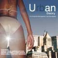 V.A. / URBAN THEORY THE ESSENTIAL STONEGROOVE R&B
