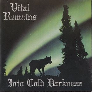 VITAL REMAINS / ヴァイタル・リメインズ / INTO COLD DARKNESS