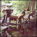 WHITE RABBITS / ホワイト・ラビッツ / WHILE WE GO DANCING