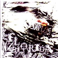 DIPLO / ディプロ / FLORIDA