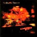 CINEMATIC ORCHESTRA / シネマティック・オーケストラ / EVERY DAY