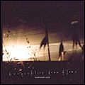 DRAGONFLIES DRAW FLAME / ドラゴンフライズ・ドロー・フレイム / HARBOURED SAFE