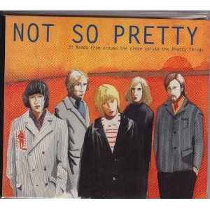 V.A. / NOT SO PRETTY - THE PRETTY THI