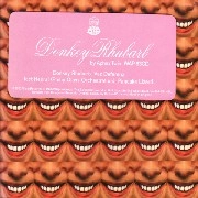 APHEX TWIN / エイフェックス・ツイン / DONKEY RHUBARB
