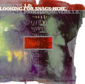 DISJECTA / LOOKING FOR SNAGS
